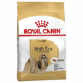 MANGIME SECCO  CANI SHIH TZU ROYAL CANIN KG 1,5