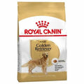 MANGIME SECCO  CANI GOLDEN RETRIVER ROYAL CANIN KG 3