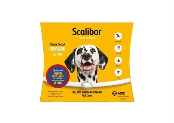 SCALIBOR LARGE CM 65